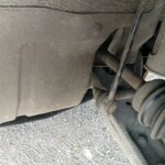 Раскройте секреты Соляриса: исследование удивительного феномена яйца