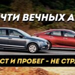 Solaris 2021: оцинкованный или неоцинкованный — что подойдет вам?